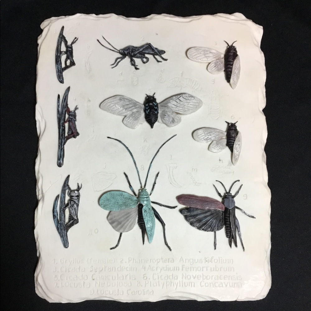 VTG Insect Wall Plaque